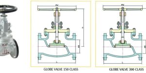 Globe Valve