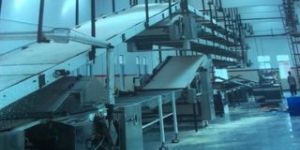 Biscuit Cooling Conveyor