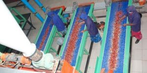 Crushed and Ground Chillies