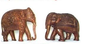Elephants