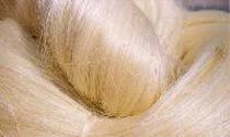 Sisal Fibre