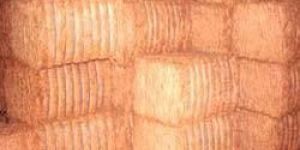Baled Coir Fiber