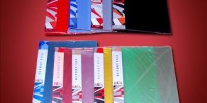 PP Report File/PP File