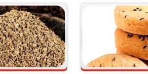 Ajwain
