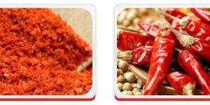 Chilli (Whole & Grounded)