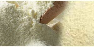 Skim Milk Powder