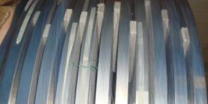 Stainless Steel Strip