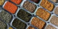 Food Grain Pulses