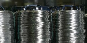 Stainless Steel Coarse Wires