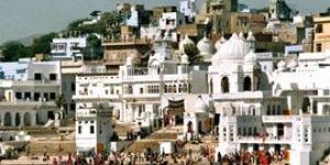 Pushkar Tour Services
