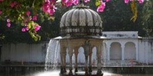 Royal Rajasthan Tour Services