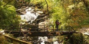 Saryu Pindar Village Walk Tourism Service