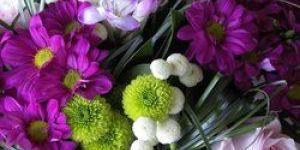 the Valley of Flowers Trek Service