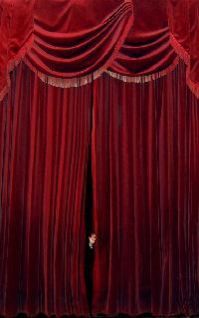 Velvet Curtains