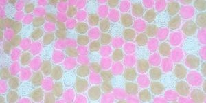 Ribbon Dori Embroidery Work on Net Fabric