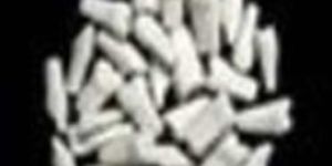 Typodonts Loose with Screw