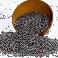 Mustard Seeds