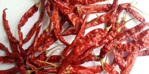Dry Red S273 Chilli