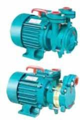 Domestic Monoblock Pumps