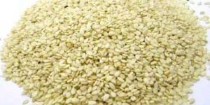 Sesame Seeds