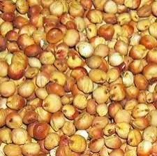 Sorghum Seeds