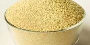 Soybean Meal