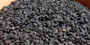 Nigella Sativa Seeds