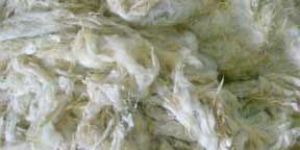 Scoured Wool