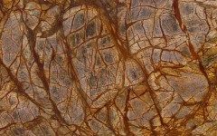 Rainforest Brown Marble