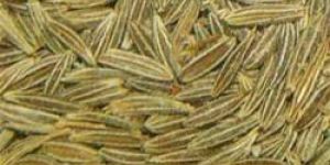 Cumin Seed