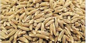 Cumin Seeds