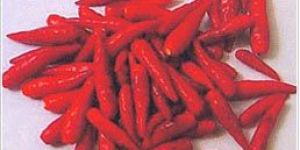 Chillies