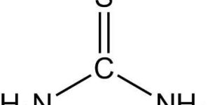 Well Completion Fluid