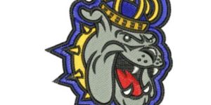 Professional Embroidery Digitizing