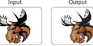 Vector Design Services