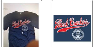 Vector Logo Design Services