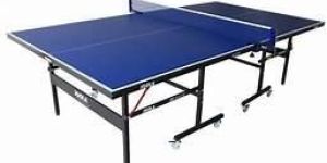 Ping Pong Table