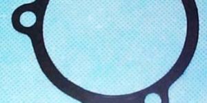 Water Pump Gasket