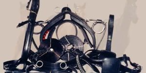 Black Horse Harness