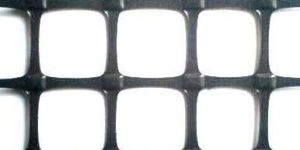 Geogrid