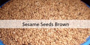 Sesame Seeds