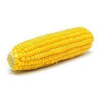 Corn Cob