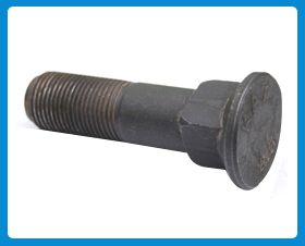 Square Neck Bolt