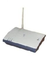 Fixed Cellular Terminals