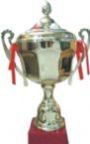 Trophy Cups