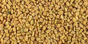 Fenugreek Seeds