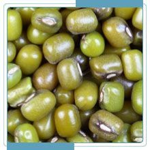 Green Mung Beans