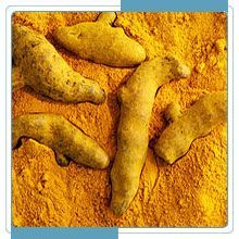 Turmeric Finger