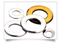 Stainless Steel Washer