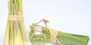 Lemon Grass Oil